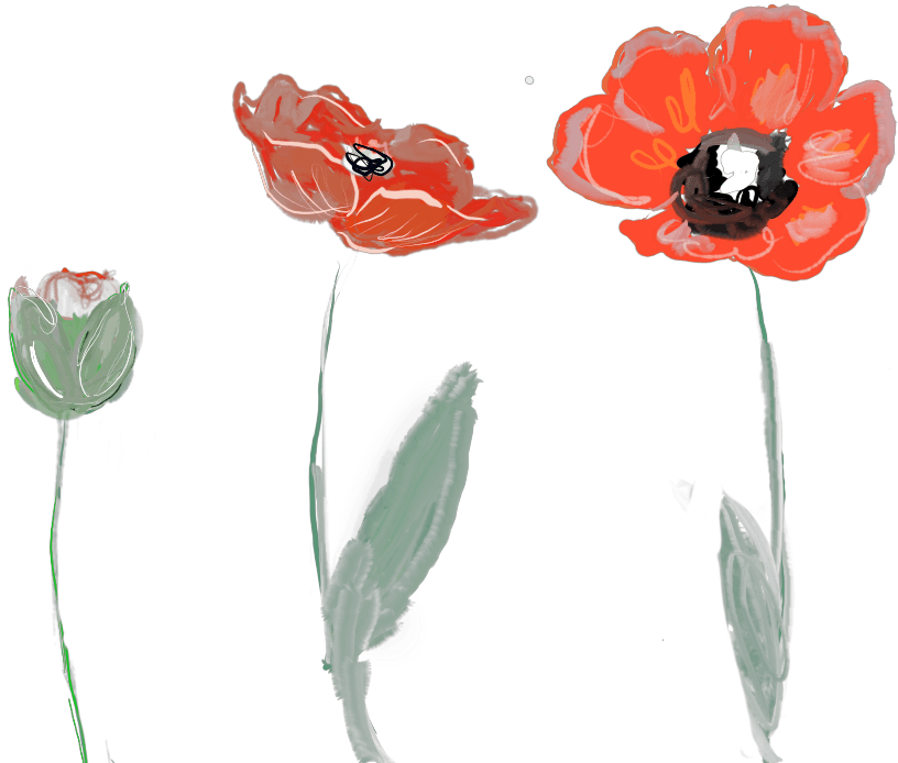 Chantal Pfaff Toi Toujours Counselling Guelph Kitchener Waterloo